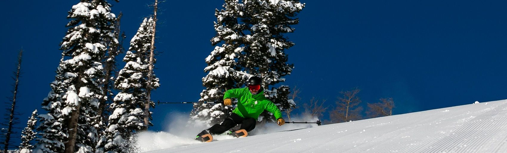 Picture of Group Ski + Snowboard Rentals